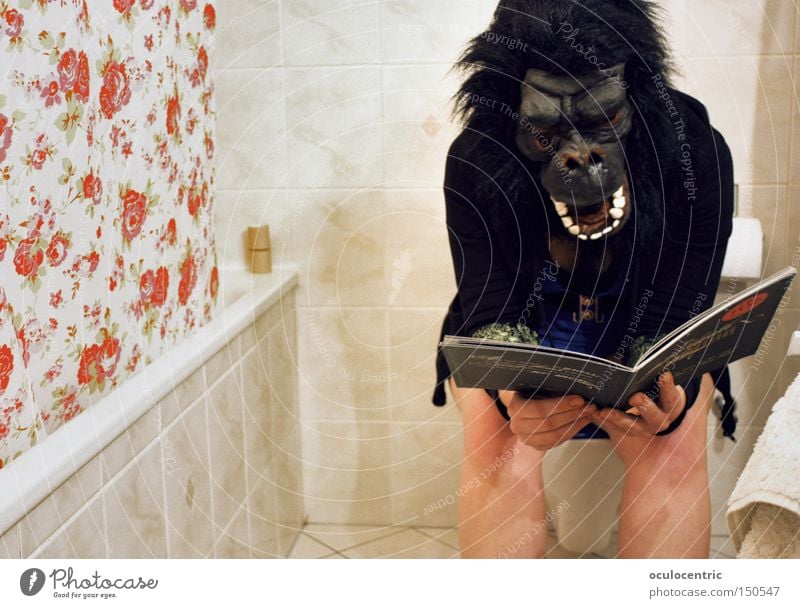 Petrischale der Ideen Affen Toilette lesen Duschvorhang Bad Badewanne Karnevalskostüm Gorilla Toilettenpapier planen Denken Fliesen u. Kacheln defäkieren