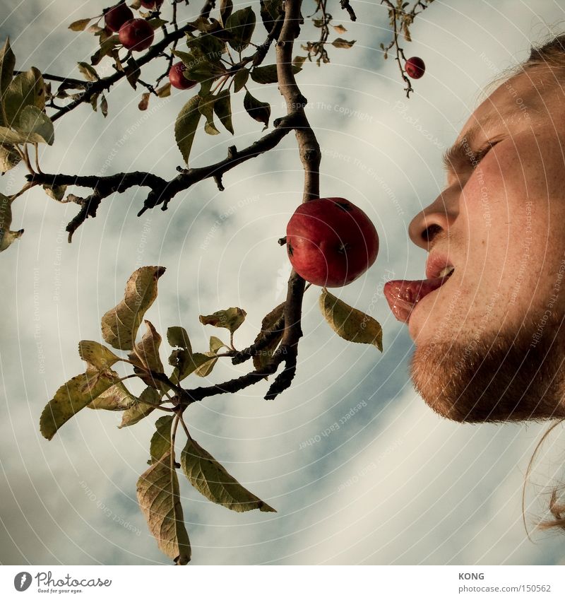 temptation Versuch Frucht Apfel Zunge Appetit & Hunger Kosten Geschmackssinn Gesundheit Ernährung biblisch authentisch Natur Trieb Vergänglichkeit Essen