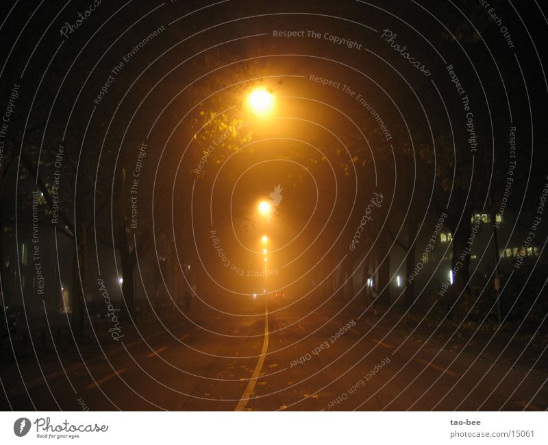 Strasse im Nebel Nacht Straßenbeleuchtung Licht PKW