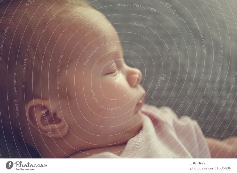Baby Dream Mensch feminin Gesicht 1 0-12 Monate liegen schlafen träumen Zufriedenheit Geborgenheit Müdigkeit Erschöpfung Trägheit bequem Newborn Farbfoto Profil