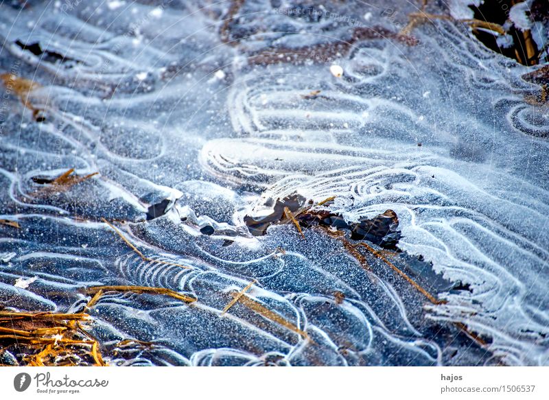 Eis am Bach Winter Natur Wasser Frost kalt weiß Idylle Eisplatte geometisch Eiskristall gefroren Tropfen Stillleben Jahreszeiten frostig Farbfoto Nahaufnahme