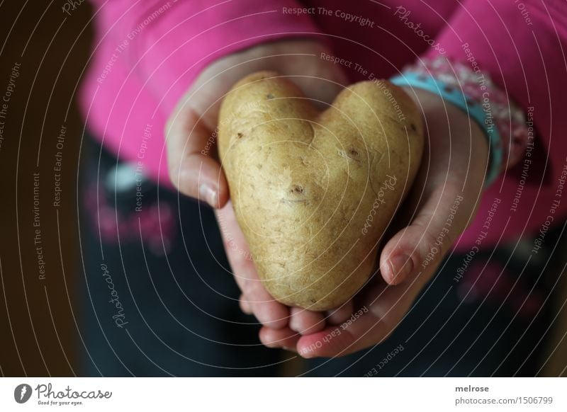 Kartoffelherz_Fundus Lebensmittel Kartoffeln Stil Design Valentinstag Mädchen Arme Hand Finger 1 Mensch 3-8 Jahre Kind Kindheit Herz herzförmig Kinderhand