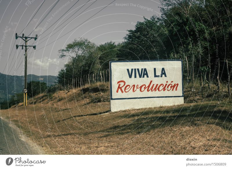 Viva la Revolución Ferien & Urlaub & Reisen Tourismus Ferne Strommast Umwelt Natur Schönes Wetter Pflanze Baum Sträucher Kuba Mittelamerika Südamerika Karibik