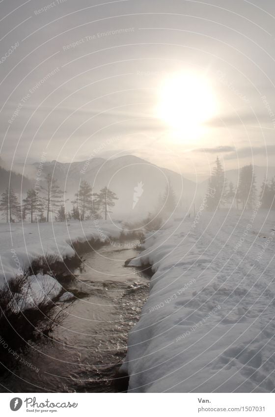 Winterspaziergang Natur Landschaft Wasser Himmel Sonne Sonnenlicht Eis Frost Schnee Hügel Berge u. Gebirge Bach Fluss kalt schön Spaziergang Farbfoto