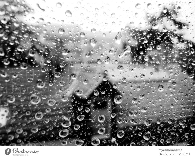 november rain Herbst Regen Wassertropfen grau kalt nass Einsamkeit Wetter Fenster Glas Makroaufnahme Oktober November Traurigkeit