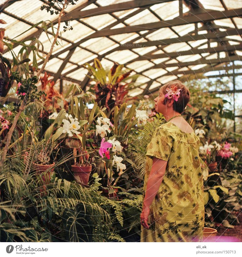 Flower Power Garten Frau Erwachsene Blume Orchidee Park Romantik Siebziger Jahre Gewächshaus Gärtnerei verträumt Hippie kultig Fünfziger Jahre Farbfoto