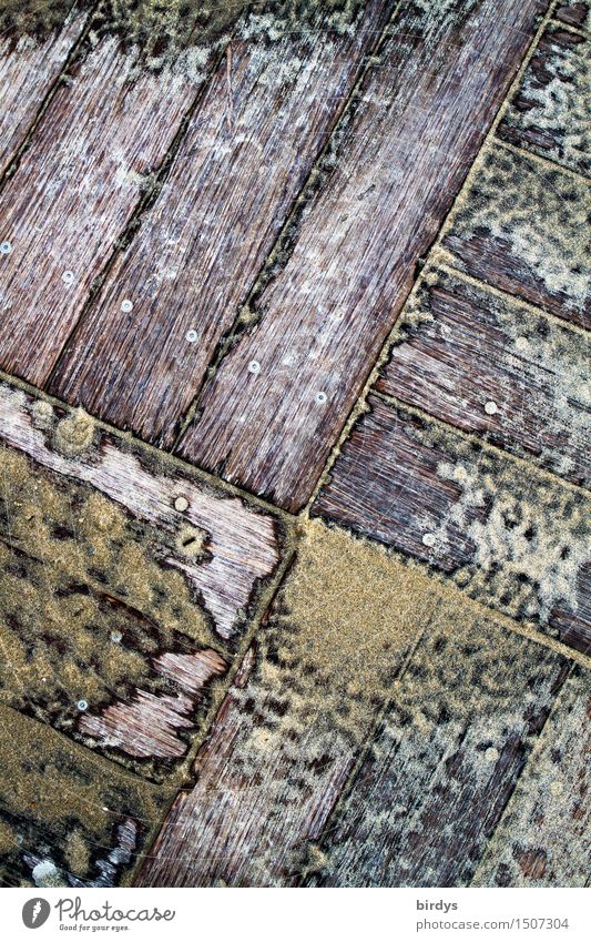 versandet Sand Terrasse Bodenbelag Holzbrett ästhetisch braun gelb grau Symmetrie Wandel & Veränderung Häusliches Leben Holzfußboden Geometrie dreckig