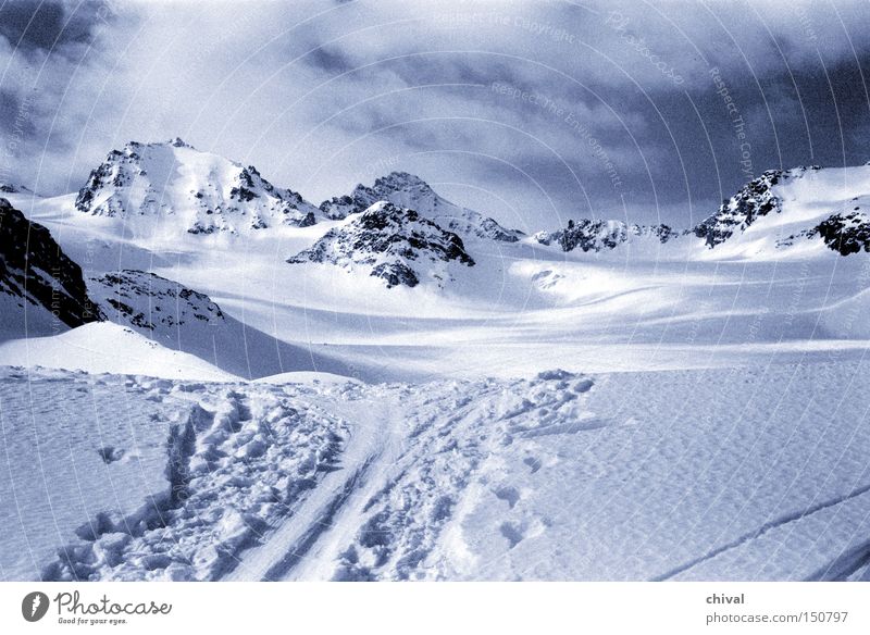 Silvretta Spitze Alpen Schnee Skifahren Berge u. Gebirge Panorama (Aussicht) kalt Eis Gletscher blau Wolken Skispur Ferien & Urlaub & Reisen Felsen Winter