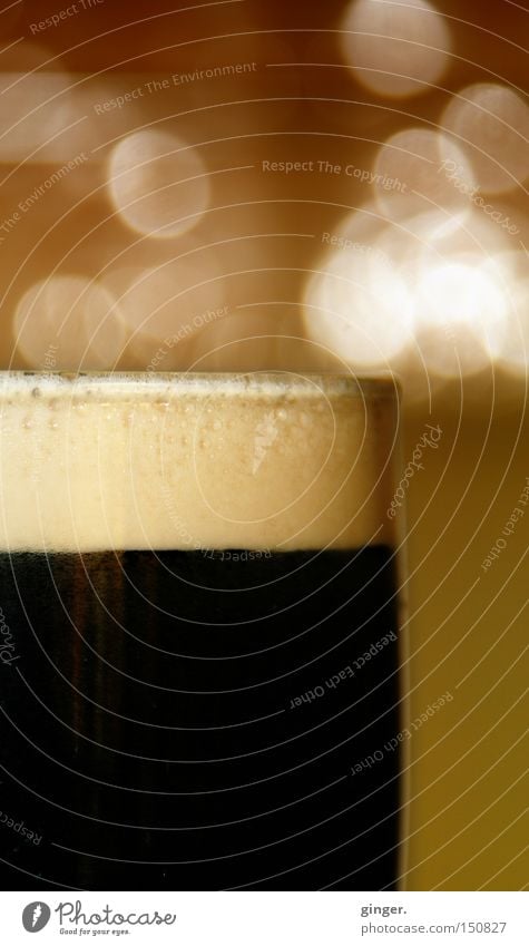 -- STOUT -- trinken Gastronomie genießen dunkel lecker Republik Irland Schaum Stickstoff Glas Textfreiraum oben Bier schwarz Lichterscheinung