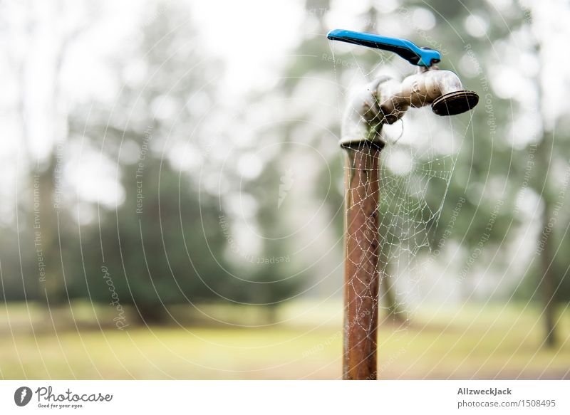 Lange nichts gelaufen Wasser alt Einsamkeit ruhig sparsam Zeit Spinnennetz Wasserhahn wasseranschluss Vergänglichkeit Rost wassersparen Farbfoto Außenaufnahme
