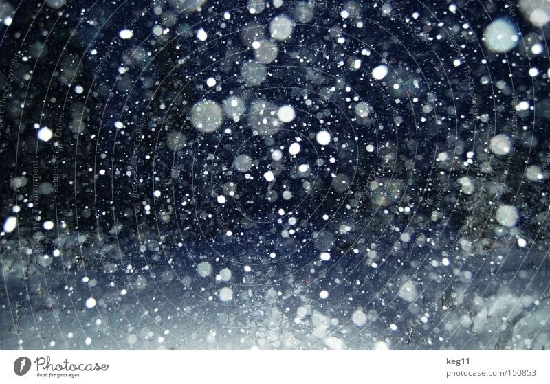 kurz vor knapp ... II Schneeflocke Schneefall Nacht Flocke Spaziergang Winter Stimmung Atmosphäre Erzgebirge kalt Romantik Baum Wintereinbruch
