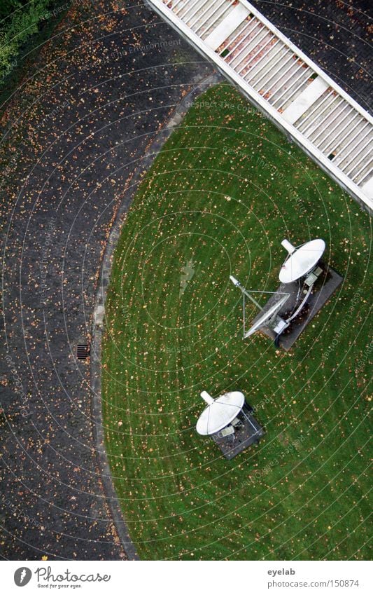 Freier Fall Wege & Pfade Straße Radarstation Schalen & Schüsseln Park Garten Antenne Vogelperspektive senden Frequenz Kommunizieren Elektrisches Gerät