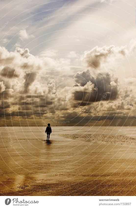 Wattgold Nordsee Meer Wasser Wolken Wolkenformation Schlick Schlamm ruhig Einsamkeit Silhouette Natur wandern Barfuß Licht schön Himmel