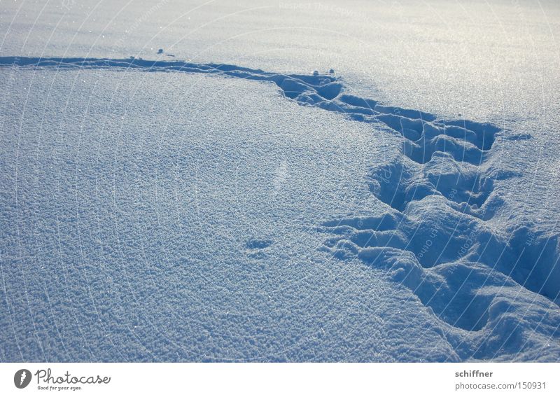 Deine Spuren im ... Schnee Pulverschnee Winter Fußspur Fährte Wege & Pfade Fußweg Schneewehe Bogen Biegung Schnee stapfen Schneeschuh wandern nicht Ski fahren