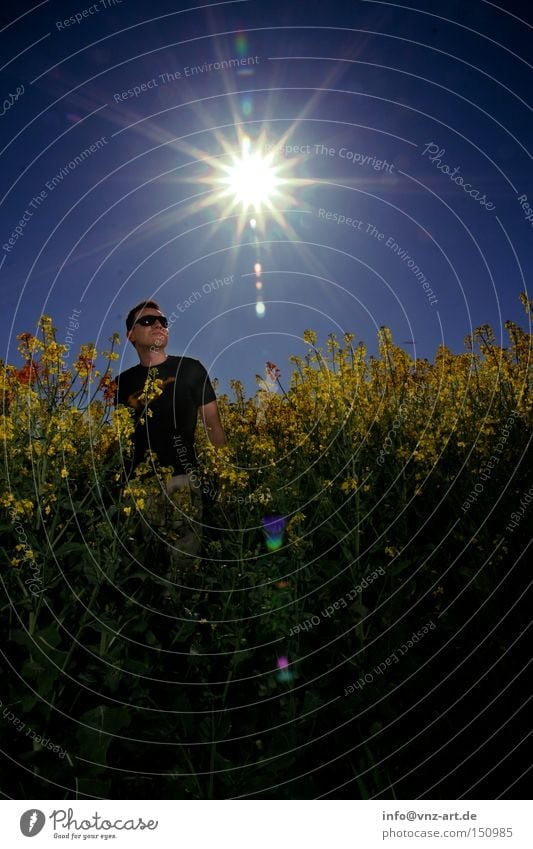 Rapsfeld Feld Sonne Sommer Mann Gegenlicht Belichtung blau gelb Sonnenbrille