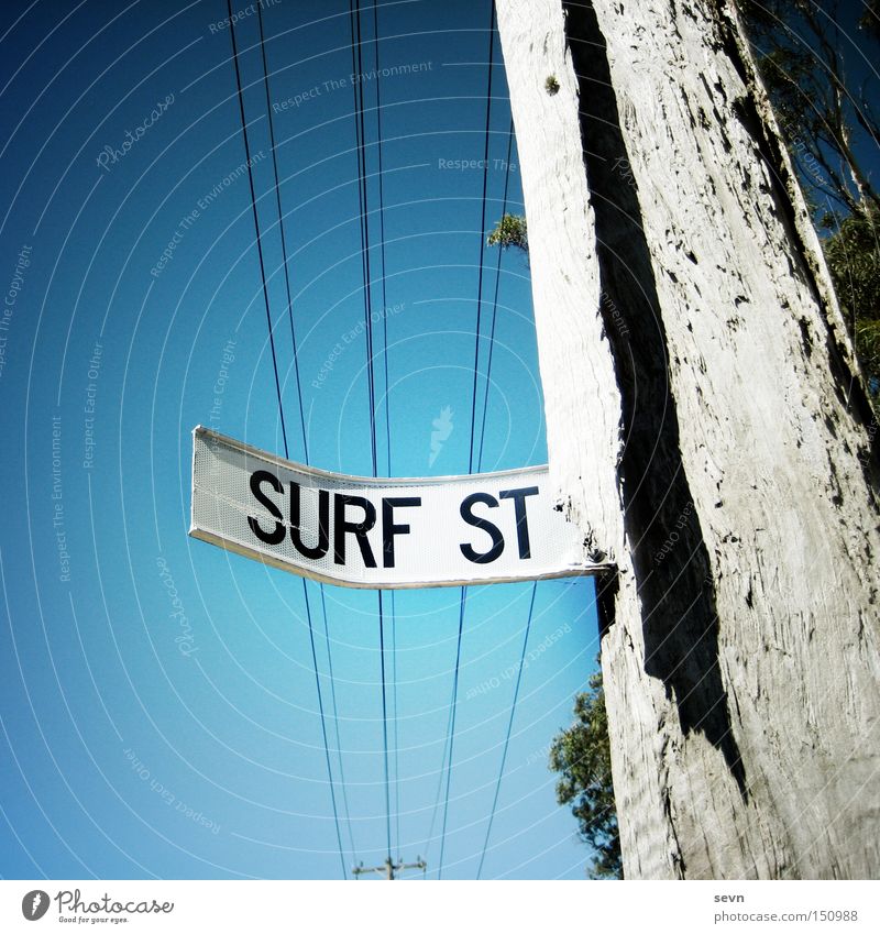 Surf Street Surfen Straße Straßennamenschild Strommast Baum Hinweisschild Schilder & Markierungen Himmel diagonal kaputt Wassersport Sommer Wegweiser. Sport