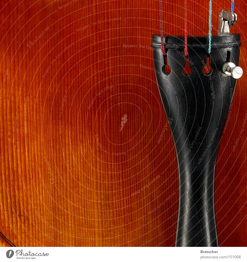 Musikliebhaber Geige Musikinstrument Cello Lack fein edel orange Ebenholz schwarz Klassik Konzentration schön Öllack Flammung geflammt Kammermusik