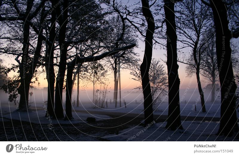 undurchschaubar Winter Schnee Sonnenuntergang Nebel Baum Sonnenaufgang Abend Morgen Straße ruhig Natur rot Himmel Ausfahrt Perspektive