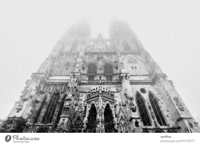 transzendieren Natur Winter Nebel Regensburg Kirche Dom Fassade Religion & Glaube Gott Gotteshäuser Transzendenz Himmel (Jenseits) Gebet Schwarzweißfoto