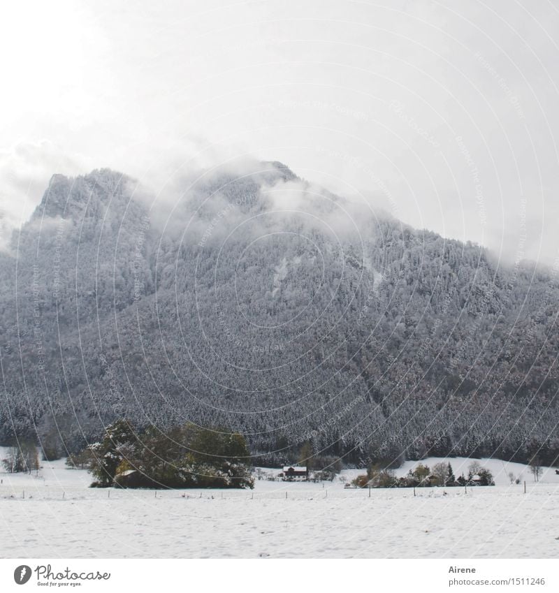 es wird früh dunkel Landschaft Wolken Winter Wetter schlechtes Wetter Nebel Schnee Wiese Feld Wald Alpen Gipfel Schneebedeckte Gipfel Bergwald Dorf Haus Hütte