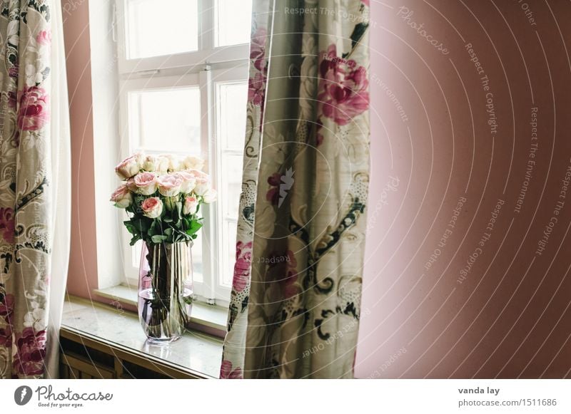 Interior Lifestyle kaufen Reichtum Stil Häusliches Leben Wohnung Innenarchitektur Dekoration & Verzierung Raum Wohnzimmer Design Vase Fenster Gardine Rose