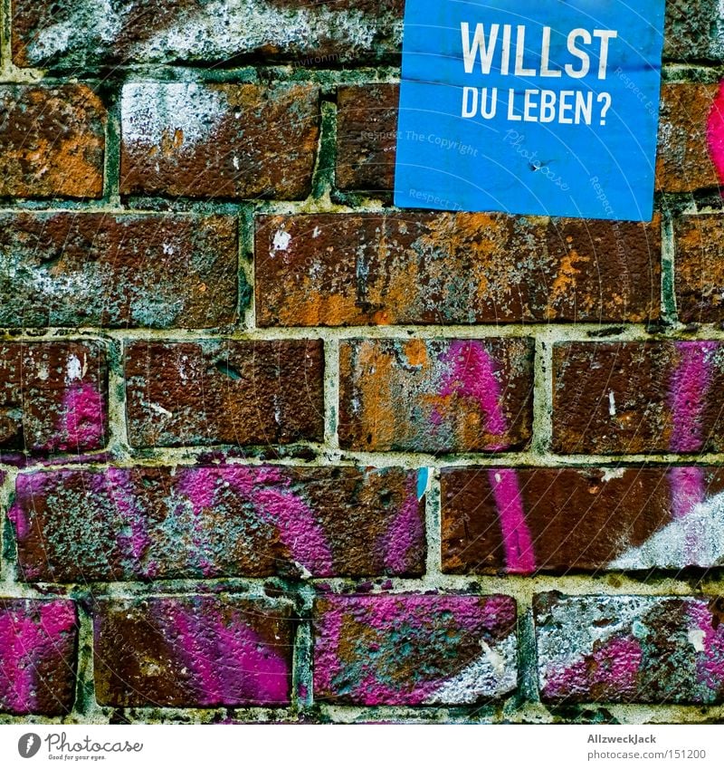 Am Scheideweg Sterbehilfe Fragen Wand Mauer Backstein Graffiti Vergänglichkeit Buchstaben Schriftzeichen preisfrage Lebensfreude Stadt