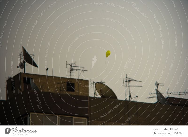 Die Hoffnung ist gelb Kairo Ägypten Luftballon fliegen Antenne Satellitenantenne Freiheit driften träumen Fassade wirklich Flucht fluchen Afrika Frieden