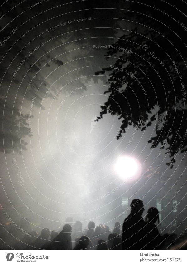 Fog of Concert Nebel Nebelbank Licht Sonne Blatt Baum Mensch Publikum Konzert Nacht Feste & Feiern Musik Menschengruppe Paar paarweise