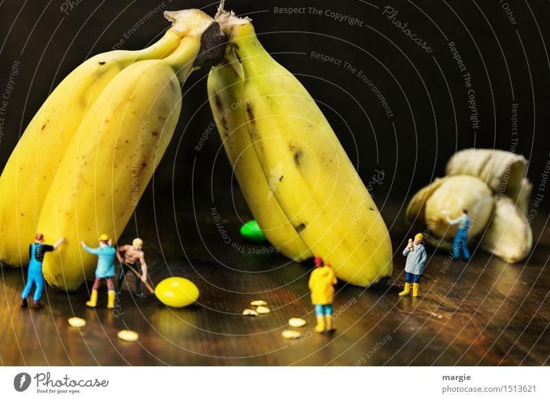 Mini - Welten Bananen Ernte Frucht Ernährung Bioprodukte Vegetarische Ernährung Diät Arbeit & Erwerbstätigkeit Beruf Handwerker Gartenarbeit Arbeitsplatz