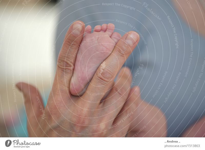 Babyfüsschen 1 Arme Hand Finger Fuß Zehen 0-12 Monate liegen außergewöhnlich einzigartig lustig Glück Lebensfreude Geborgenheit Fingernagel Fußsohle Babyfuß