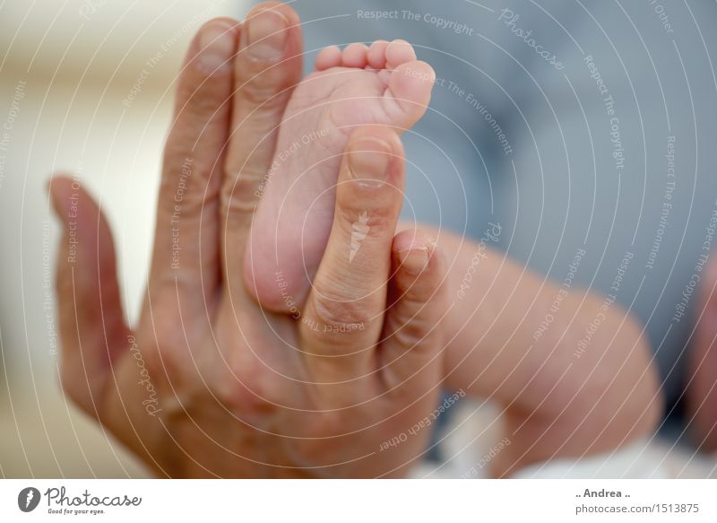 Babyfüsschen 3 Hand Finger Fuß Freude Glück Fröhlichkeit Zufriedenheit Lebensfreude Vertrauen Sicherheit Schutz Geborgenheit Zeh Zehen Zehennagel Zehenspitze