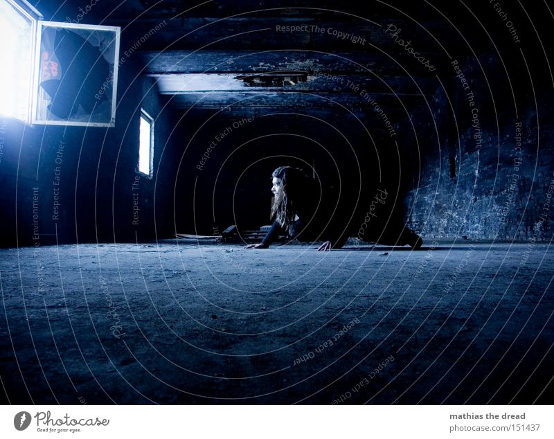 SCHLEICHEKATZE Einsamkeit dunkel schleichen Mann geheimnisvoll Beton schwarz Raum Fenster verfallen Lichtschein blau Funsport