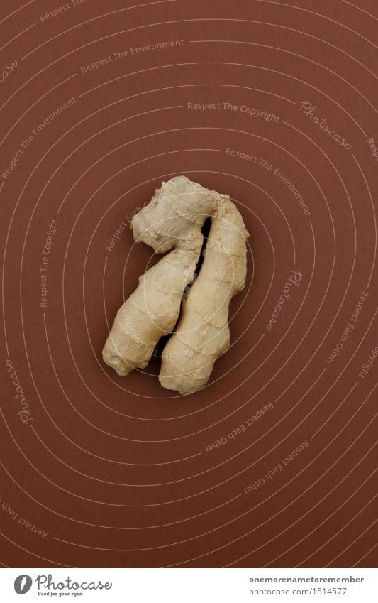 Jammy Ingwer auf Braun Kunst Kunstwerk ästhetisch Wurzel Wurzelgemüse Kräuter & Gewürze lecker Erkältung braun Lebensmittel Gesunde Ernährung Farbfoto