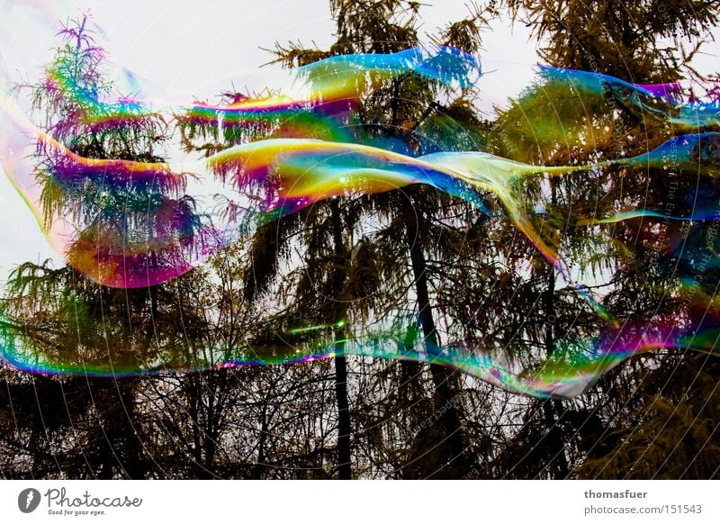bunte Seifenblasen Tagtraum Illusion Wunschvorstellung platzen fliegen Schweben Farbe flüchtig Phantasie Wolken Verliebtheit Glück Freude Luftverkehr