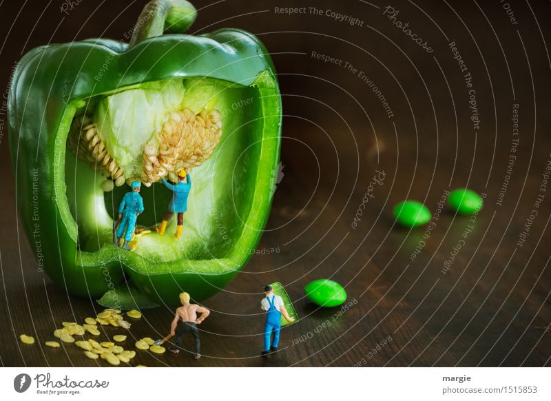 Mini - Welten Grüne Paprika (Kern) Ernte Gemüse Salat Salatbeilage Ernährung Bioprodukte Vegetarische Ernährung Arbeit & Erwerbstätigkeit Beruf Gartenarbeit