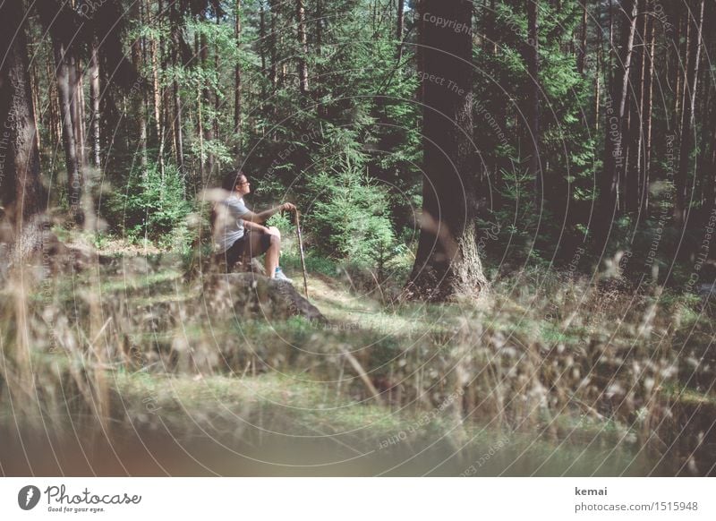 Junge Frau sitze im Wald mit Wanderstock Freizeit & Hobby Ausflug Abenteuer Freiheit wandern Mensch feminin Erwachsene Leben 1 30-45 Jahre Umwelt Natur Sommer
