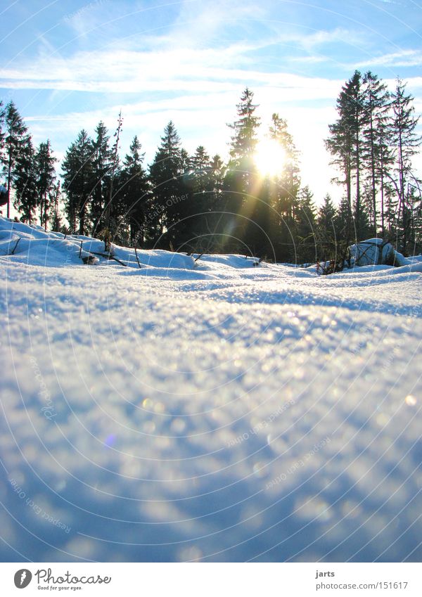 4. Jahreszeit Winter Schnee Wald Tanne Winterwald Himmel Sonne kalt jarts