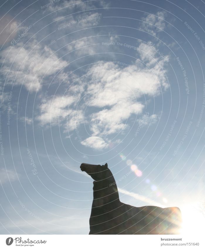Der linke Rossebändiger Pferd Himmel Gegenlicht Wolken Die Rossbändiger Cirrus Blendenfleck Düsseldorf Blick Wahrzeichen Denkmal Nordpark