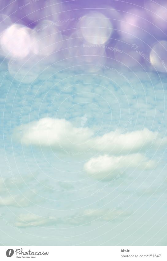 VÖGEL IM WASSER | FISCHE AM HIMMEL | Natur Landschaft Luft Himmel Wolken Horizont Sommer Klima Schönes Wetter glänzend träumen fantastisch Kitsch blau Stimmung