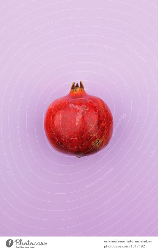 Jammy Granatapfel auf Lila Kunst Kunstwerk ästhetisch rot Frucht Südfrüchte violett mehrfarbig knallig Ernte Dekoration & Verzierung Design gestalten Hülle