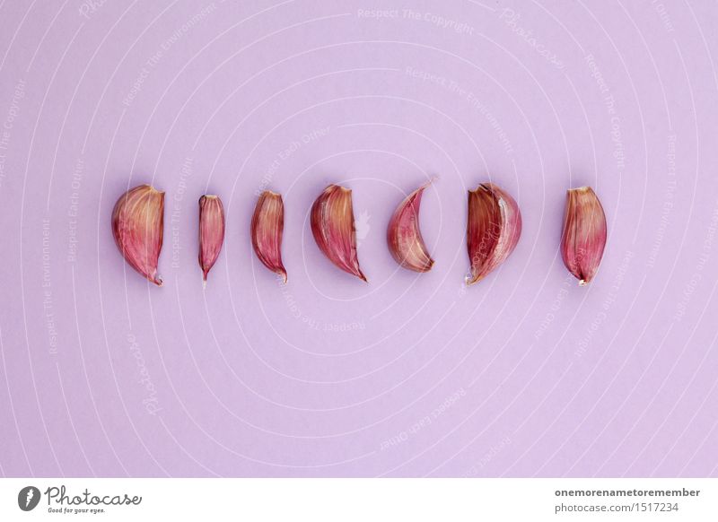 Jammy Knoblauchreihe auf Lila Kunst Kunstwerk ästhetisch Küche Knoblauchzehe Knoblauchknolle Reihe Symmetrie Design Foodfotografie lecker Würzig