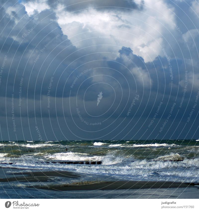 Abschied und Ankunft Ostsee Meer See Strand Himmel Wolken Unwetter Sturm Ahrenshoop Erholung Natur Küste Wellen Gischt Wasser dramatisch kalt Herbst Winter