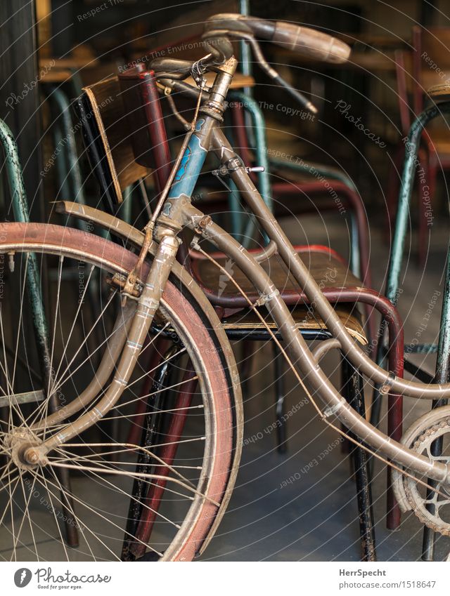Blickfang Stuhl Fahrrad Holz Metall alt ästhetisch retro schön blau braun grau Damenfahrrad Fahrradlenker Fahrradrahmen Dekoration & Verzierung parken Farbfoto