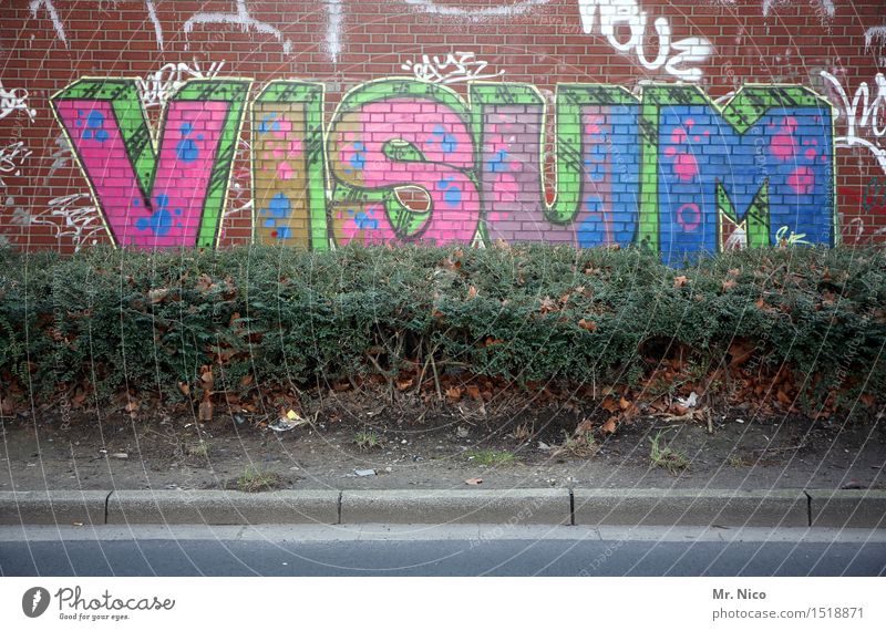 visum Pflanze Sträucher Stadt Mauer Wand Fassade dreckig blau grau grün rosa Straßenrand Straßenkunst Graffiti Politik & Staat Aufenthalt Hecke Schmiererei