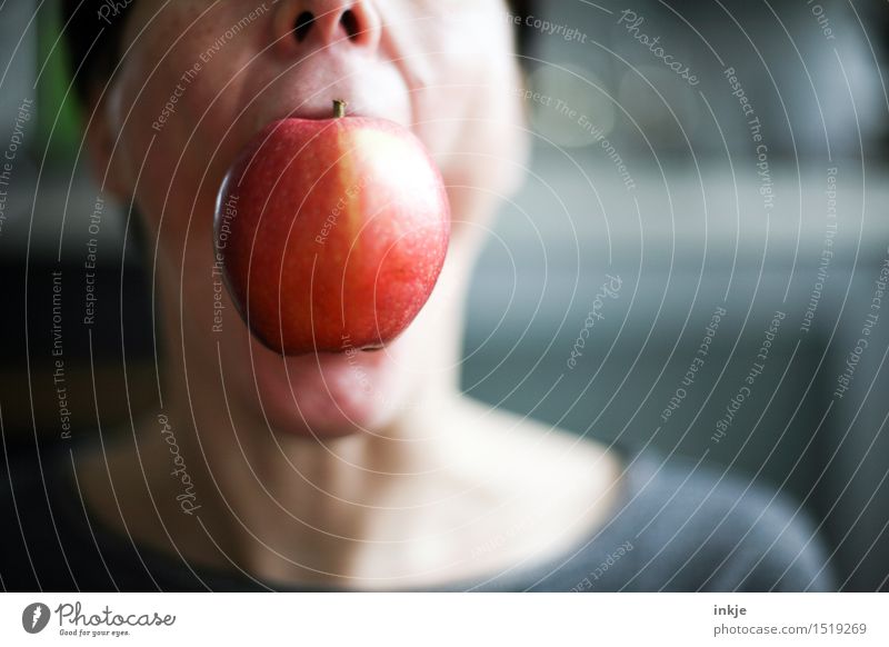 Mund zu voll genommen Lebensmittel Frucht Apfel Ernährung Essen Bioprodukte Vegetarische Ernährung Lifestyle Freude Freizeit & Hobby Frau Erwachsene Gesicht 1