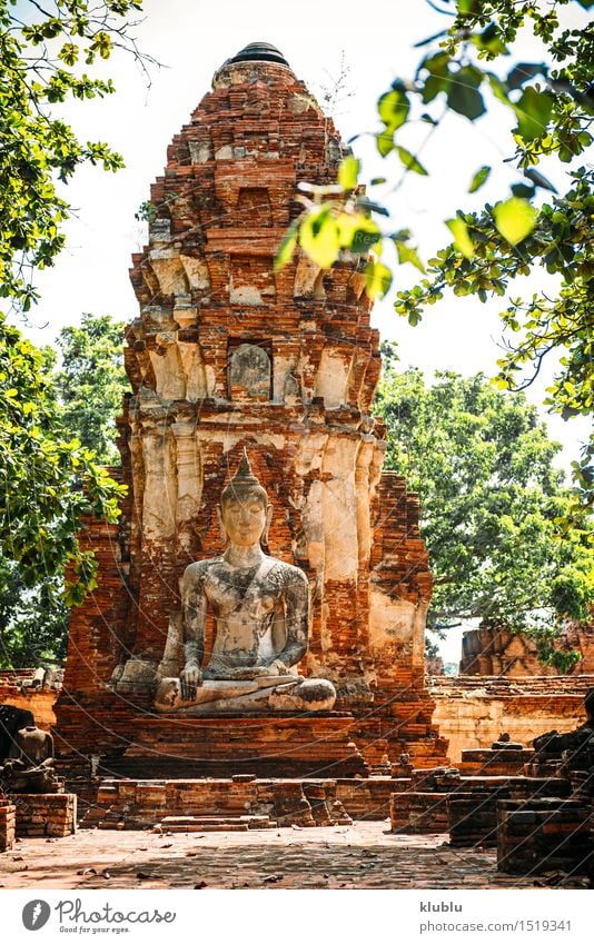 Alte Buddha-Statue, in Ayutthaya, Thailand Design Gesicht Meditation Kultur Himmel Wolken Architektur alt gelb Glaube Religion & Glaube antik Asien asiatisch