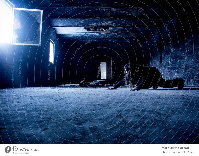 SCHLEICHEKATZE Einsamkeit dunkel schleichen Mann geheimnisvoll Beton schwarz Raum Fenster verfallen Lichtschein blau Vergänglichkeit tierisch Lichteinfall Fes
