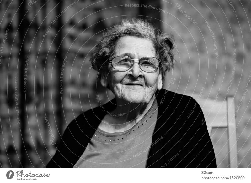 Die Beste Wohnung feminin Weiblicher Senior Frau Großmutter Familie & Verwandtschaft 60 und älter Brille Lächeln lachen Blick sitzen Freundlichkeit Fröhlichkeit