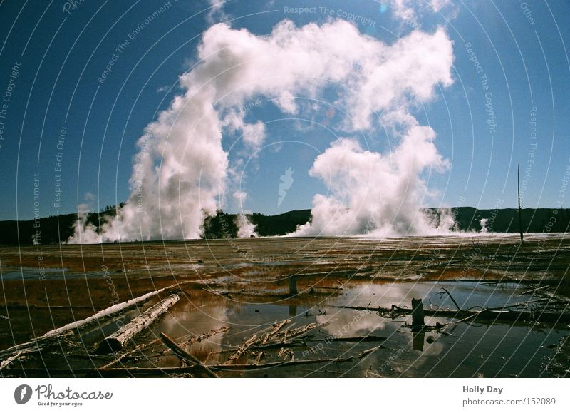 Rauchtor Baum Wasserdampf Blauer Himmel Nationalpark kalt Tod Schönes Wetter weiß USA Yellowstone Nationalpark Reflexion & Spiegelung Tor