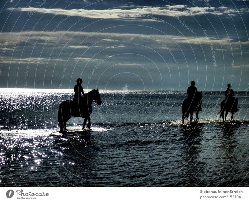 Wellengang Pferd Meer Reiter Sehnsucht ruhig Sonne Wolken glänzend Ferien & Urlaub & Reisen Sommer Erholung Strand Horizont Wasser Blauer Himmel Fernweh